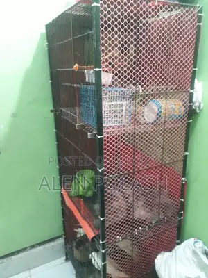 ৩ খোপ এর খাঁচা