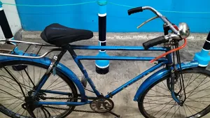 Phoenix Bicycle