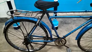 Phoenix Bicycle
