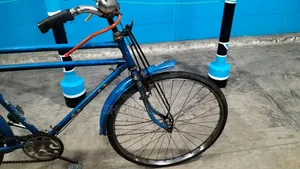Phoenix Bicycle