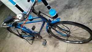 Phoenix Bicycle