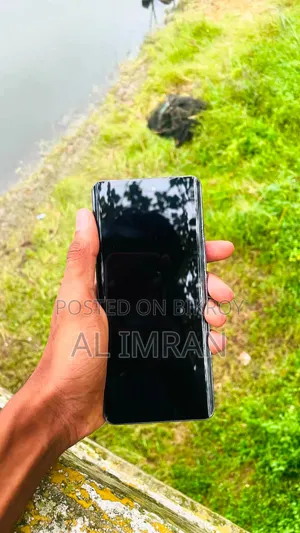 Xiaomi Civi 2 256 GB Gray