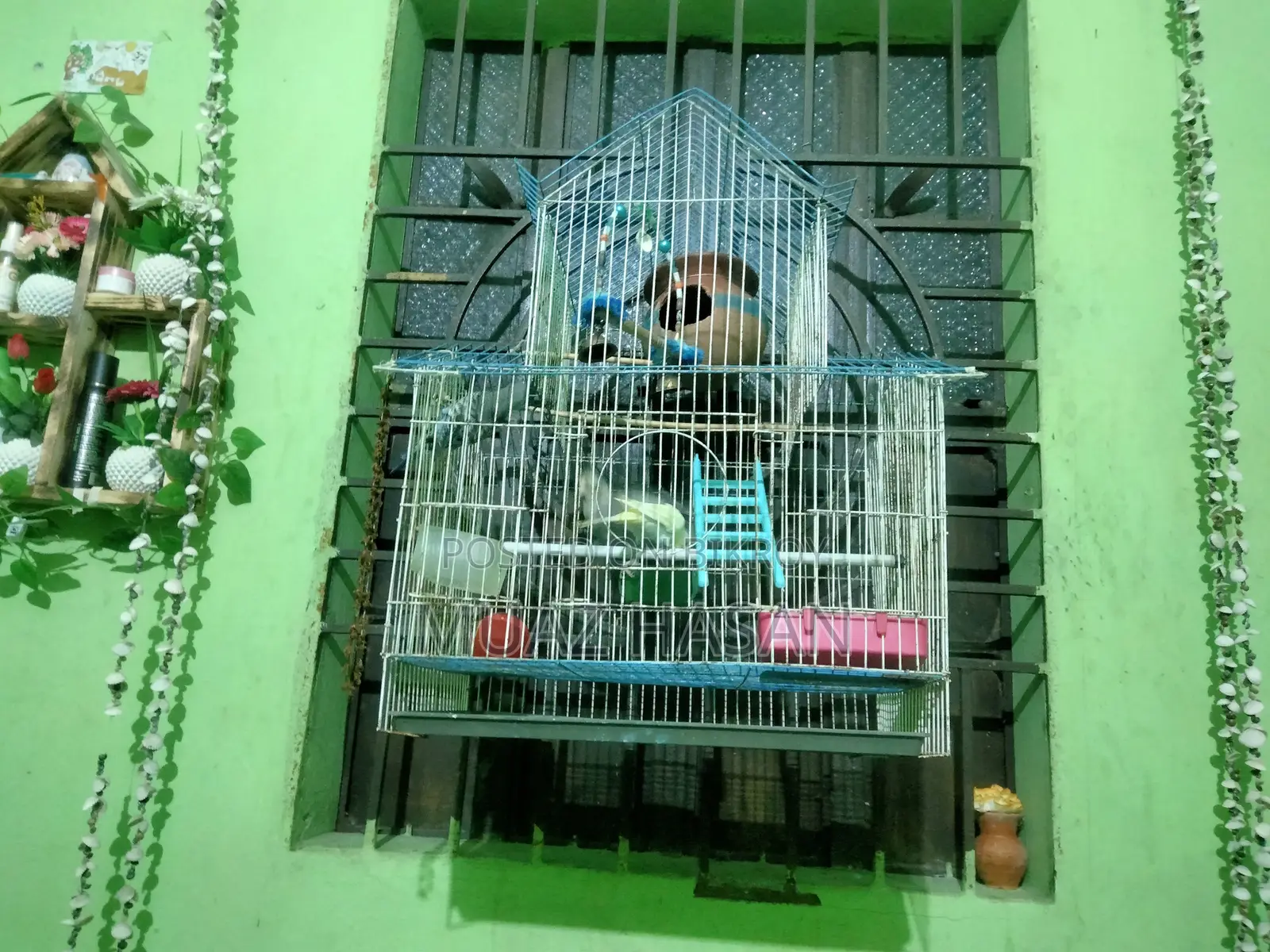 পাখির খাঁচা