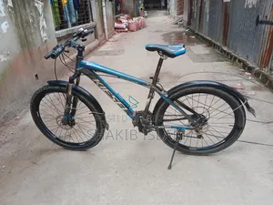 Kiesel Bicycle
