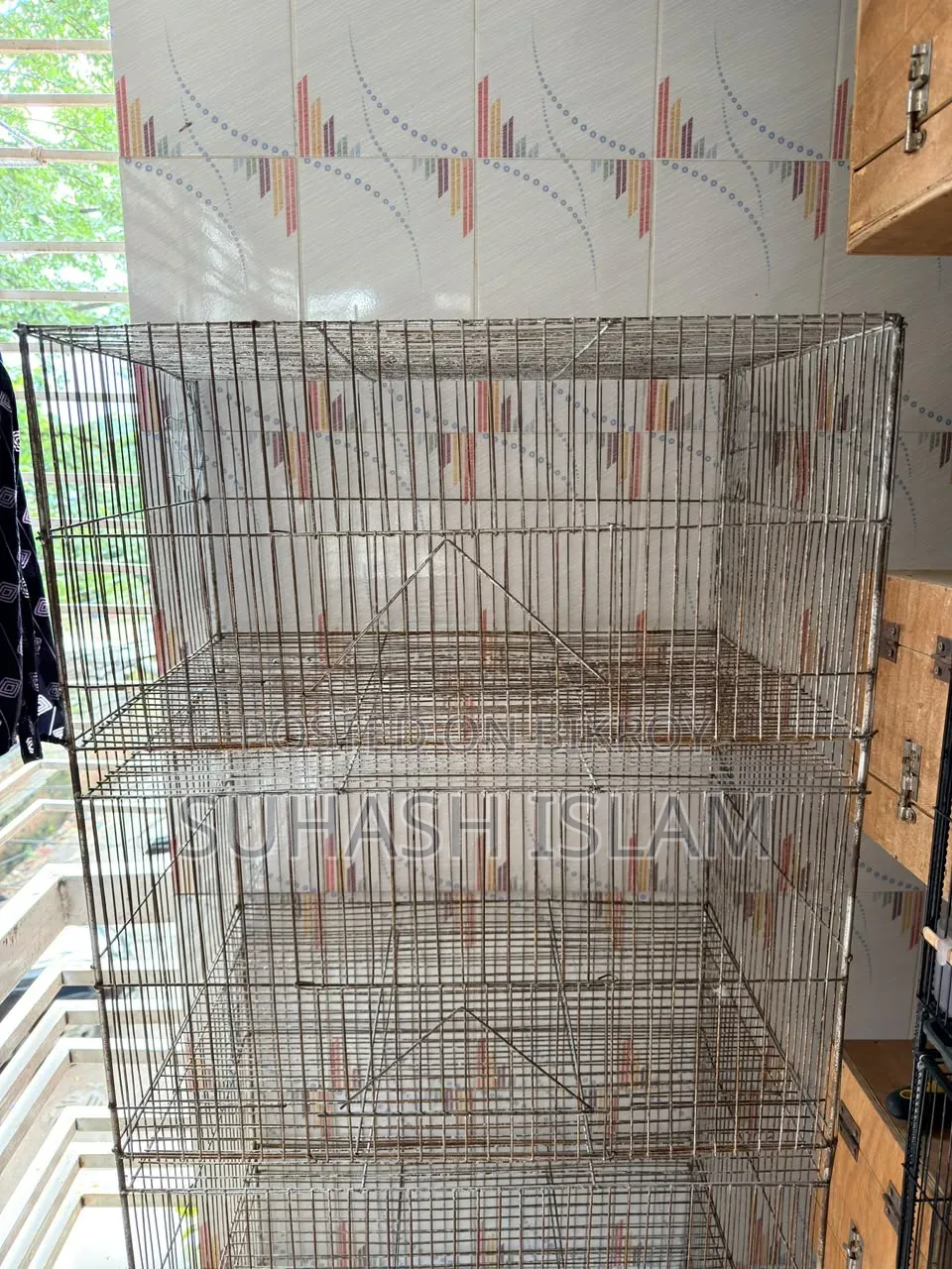 পাখির খাঁচা