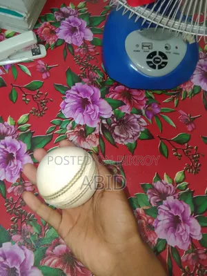 2 Pis Cricket Ball