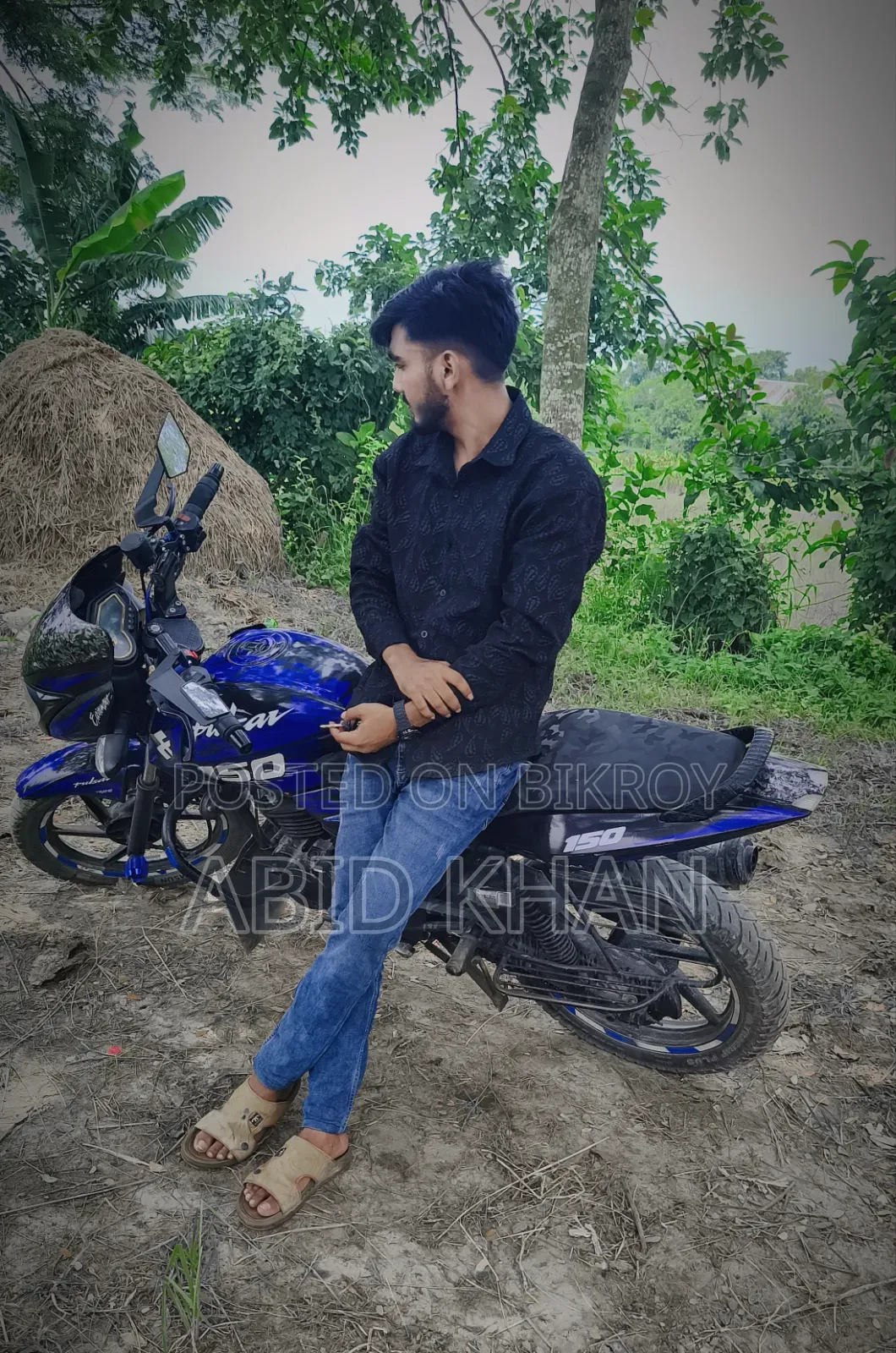 Bajaj Pulsar 150 2015 Blue