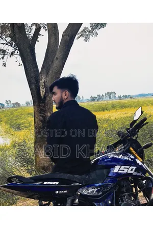 Bajaj Pulsar 150 2015 Blue