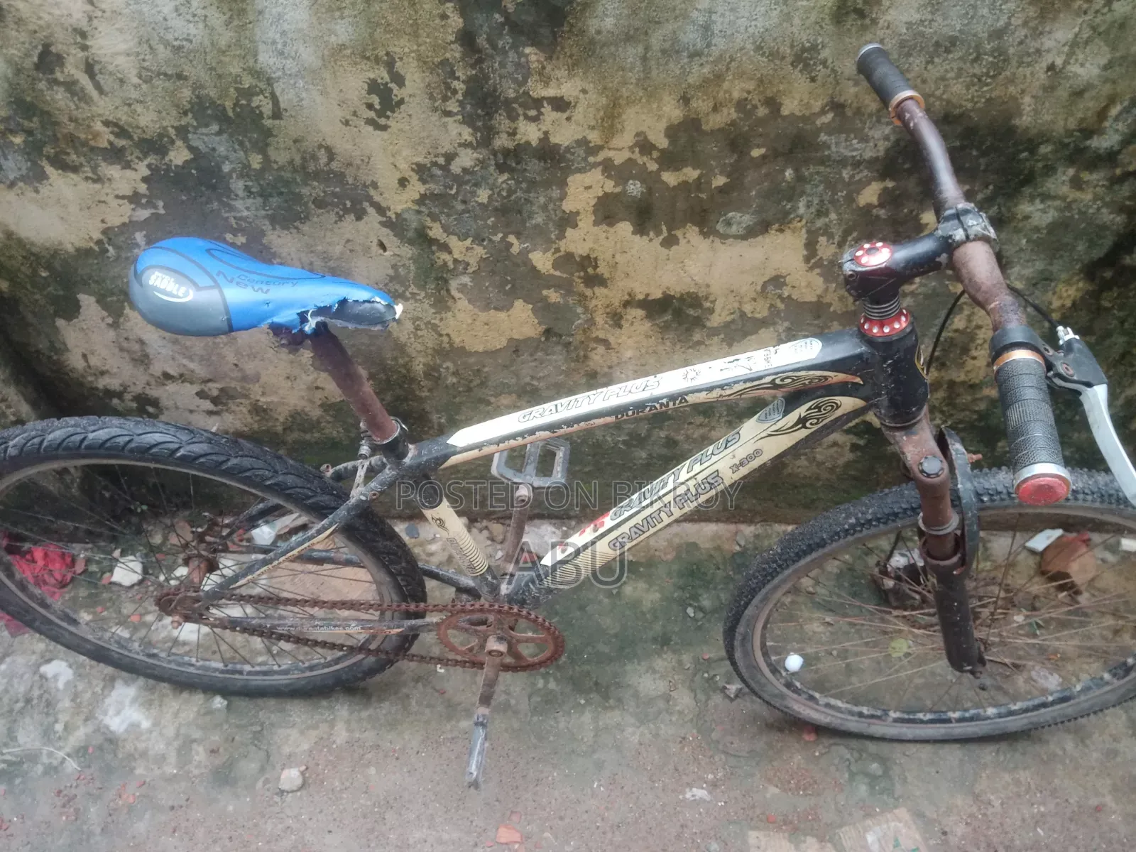 Phoenix Bicycle