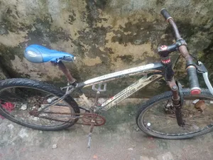 Phoenix Bicycle
