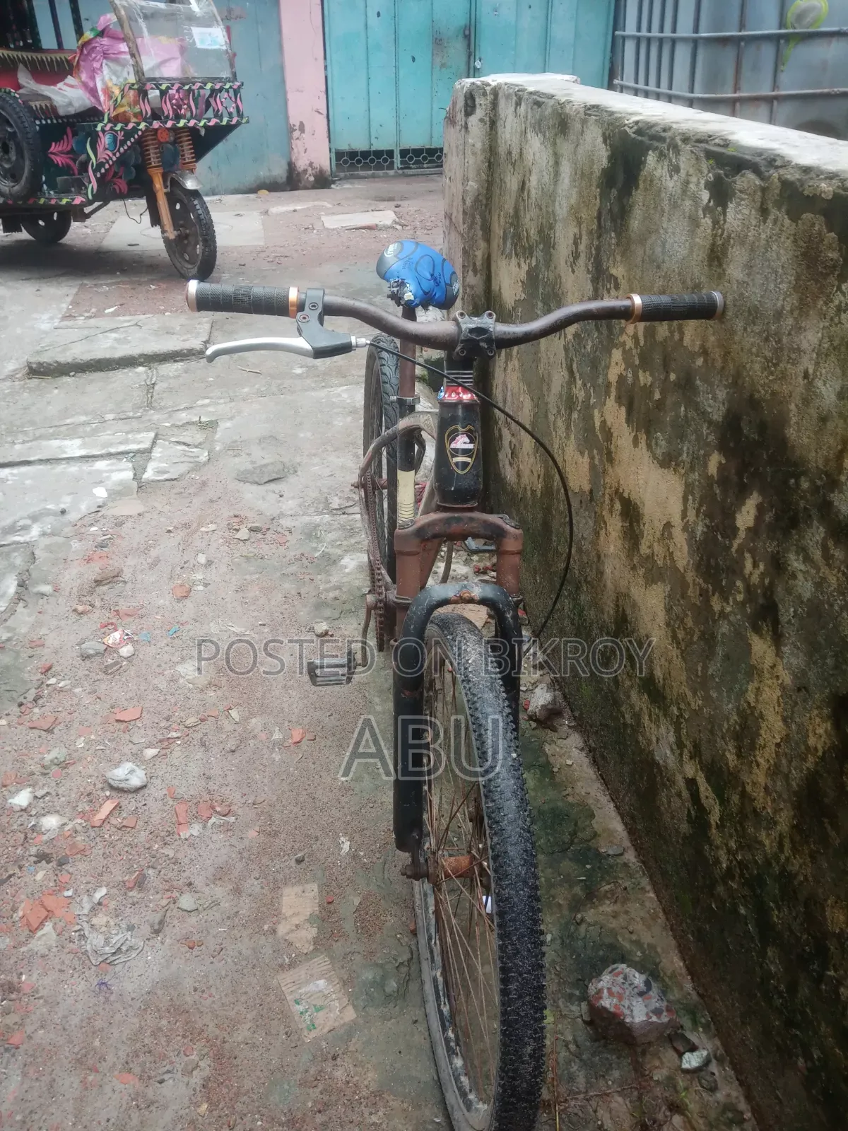 Phoenix Bicycle