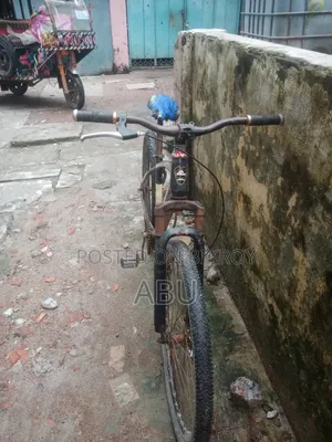 Phoenix Bicycle