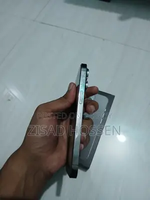 Apple iPhone 13 Pro 256 GB Gray