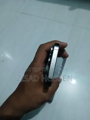 Apple iPhone 13 Pro 256 GB Gray