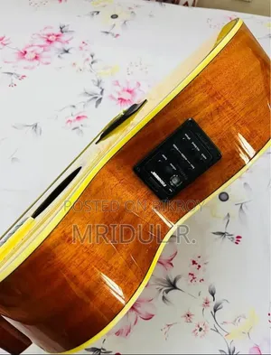Trumon TF-05 Semi Acoustic Guitar