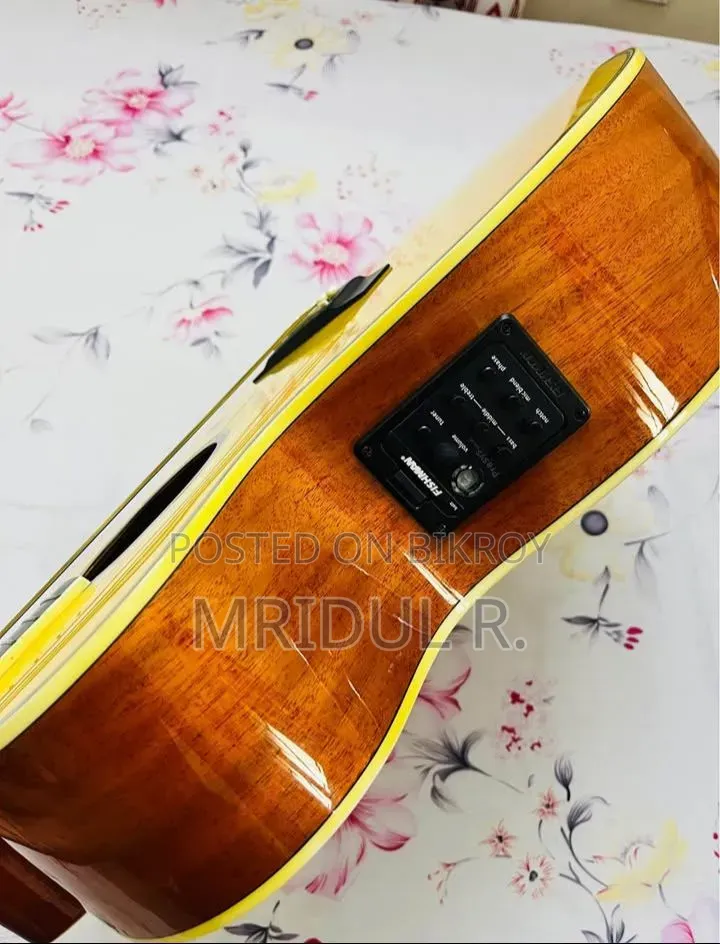 Trumon TF-05 Semi Acoustic Guitar