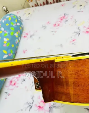 Trumon TF-05 Semi Acoustic Guitar