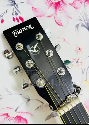 Trumon TF-05 Semi Acoustic Guitar