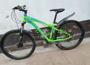 Velooce Bicycle