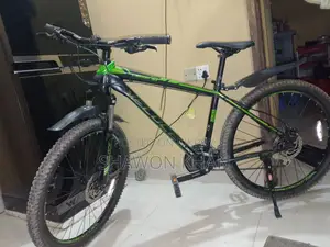 Legion 30 Mountain Bicycle for Sale