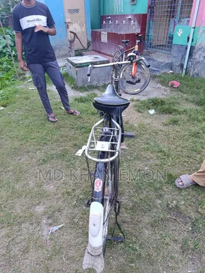 China Phoenix 28" Bicycle for Sale