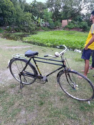 China Phoenix 28" Bicycle for Sale
