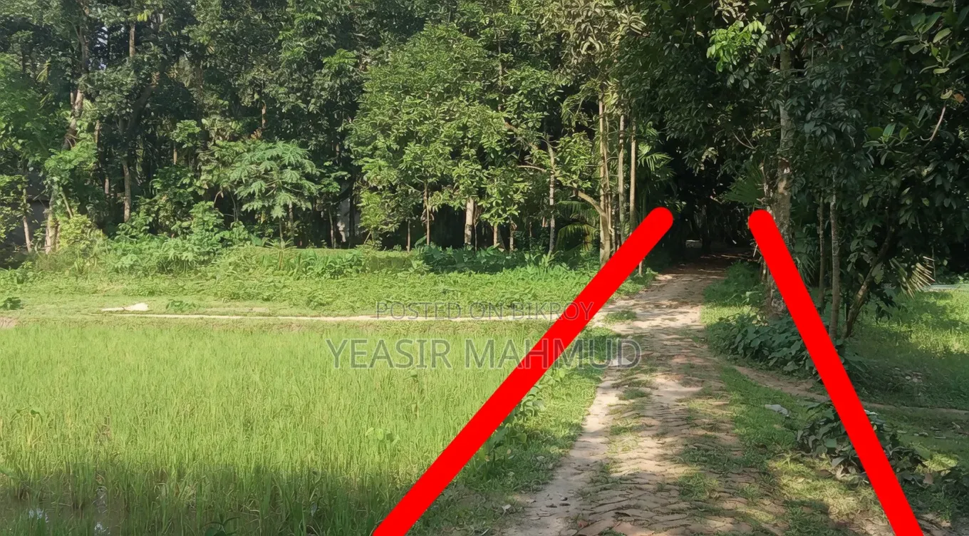 ইমারজেন্সি জমি বিক্রয় স্বল্পমূল্যে