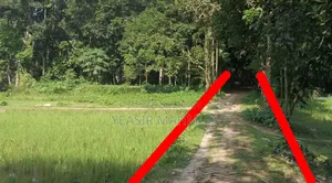ইমারজেন্সি জমি বিক্রয় স্বল্পমূল্যে