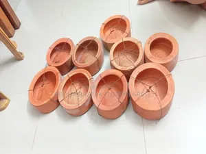 পাখির খাবার বাটি