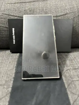 Samsung Galaxy S24 Ultra 256 GB Gray