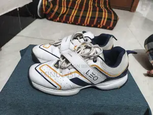 Leo Prottasha Shoes – Fresh Condition | For Sale