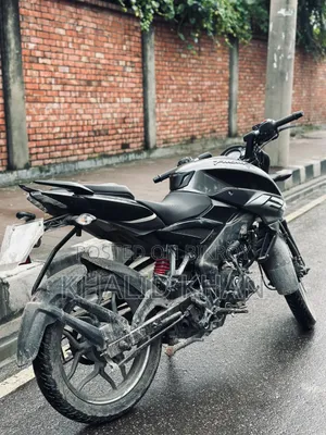 বাজাজ পালসার ১২৫ ২০২৪ গ্রে