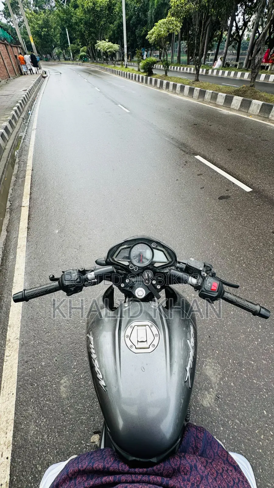বাজাজ পালসার ১২৫ ২০২৪ গ্রে