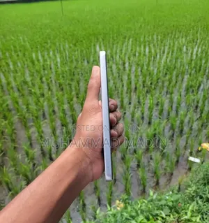 ভীভো ওয়াই ৪০০ ২৫৬ জিবি সাদা