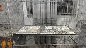 ৩৬'১৮'১৮ কেইজ ফ্রেশ