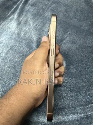 Apple iPhone 16 Pro Max 256 GB