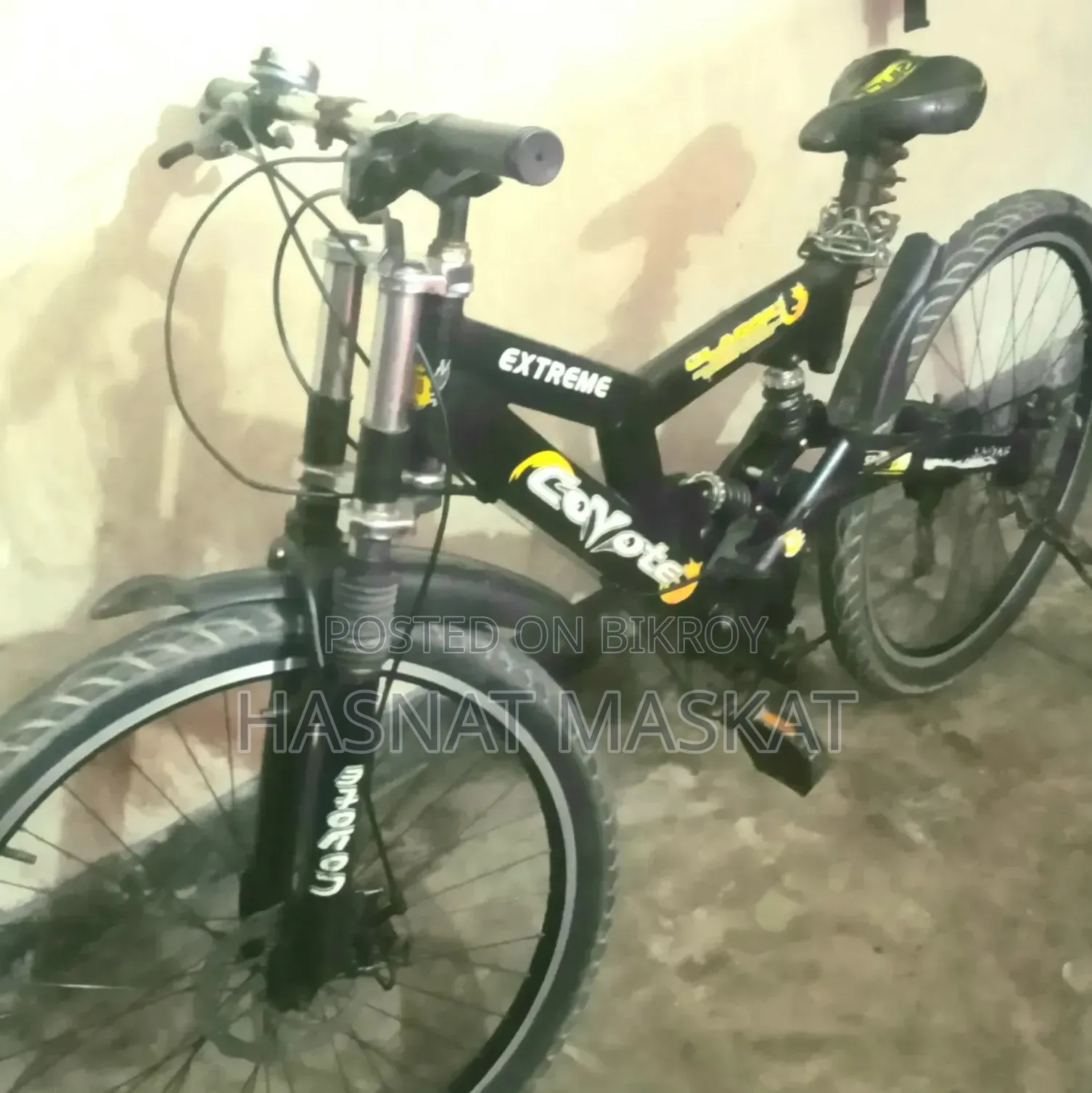 My beloved bicycle