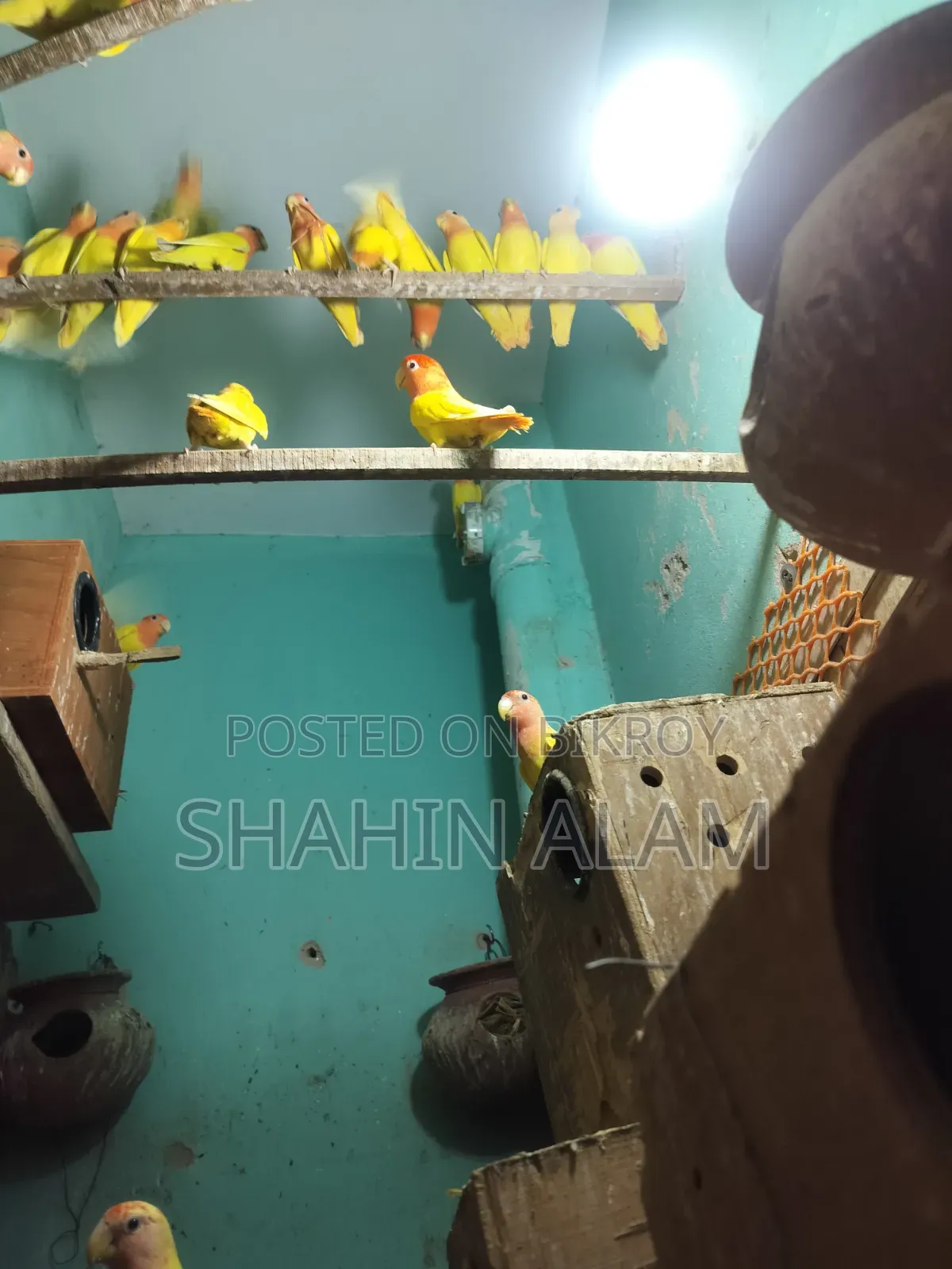 কদমতলি গোটাটিকর, পল্লী বিদ্যুৎ সমিতি ১ অফিসের সাথে