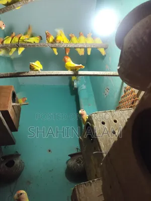 কদমতলি গোটাটিকর, পল্লী বিদ্যুৎ সমিতি ১ অফিসের সাথে