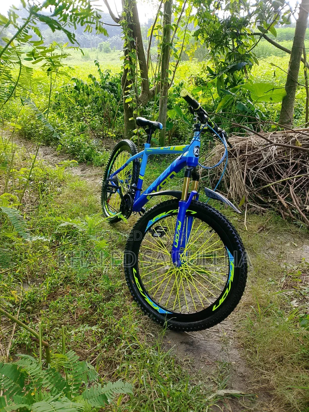 আকর্ষণীয় বাইসাইকেল