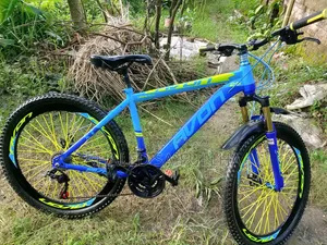 আকর্ষণীয় বাইসাইকেল