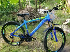 আকর্ষণীয় বাইসাইকেল