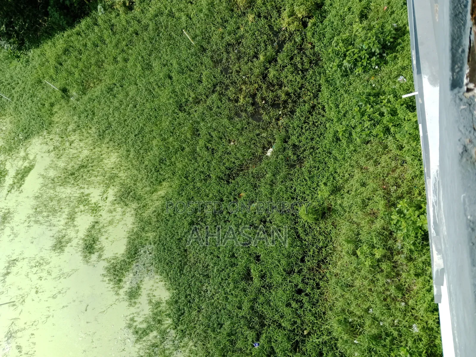 Urgent Land Sale