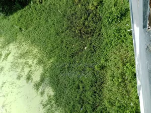 Urgent Land Sale