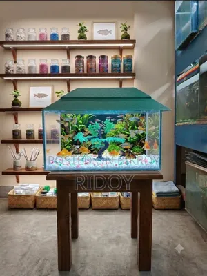 নতুন একুরিয়াম
