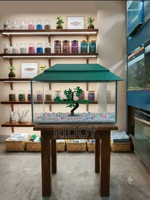 নতুন একুরিয়াম