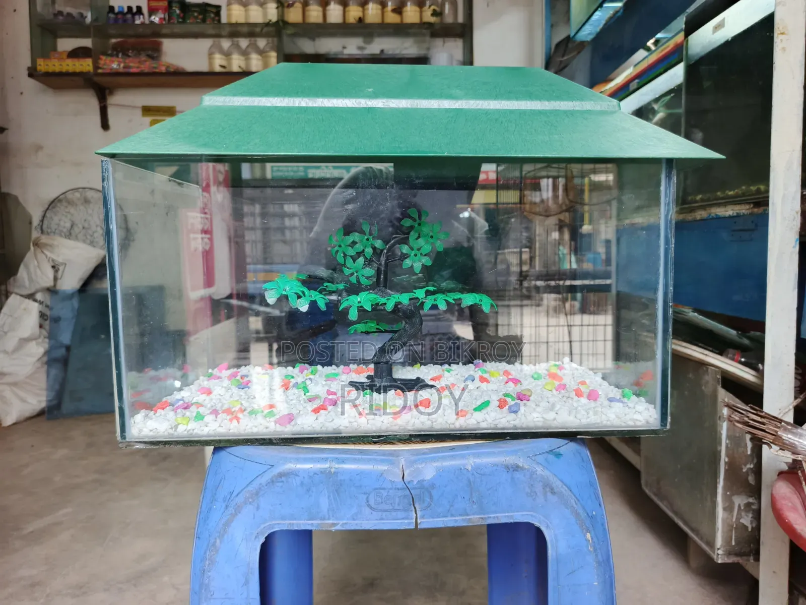 নতুন একুরিয়াম
