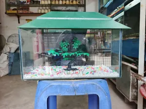 নতুন একুরিয়াম