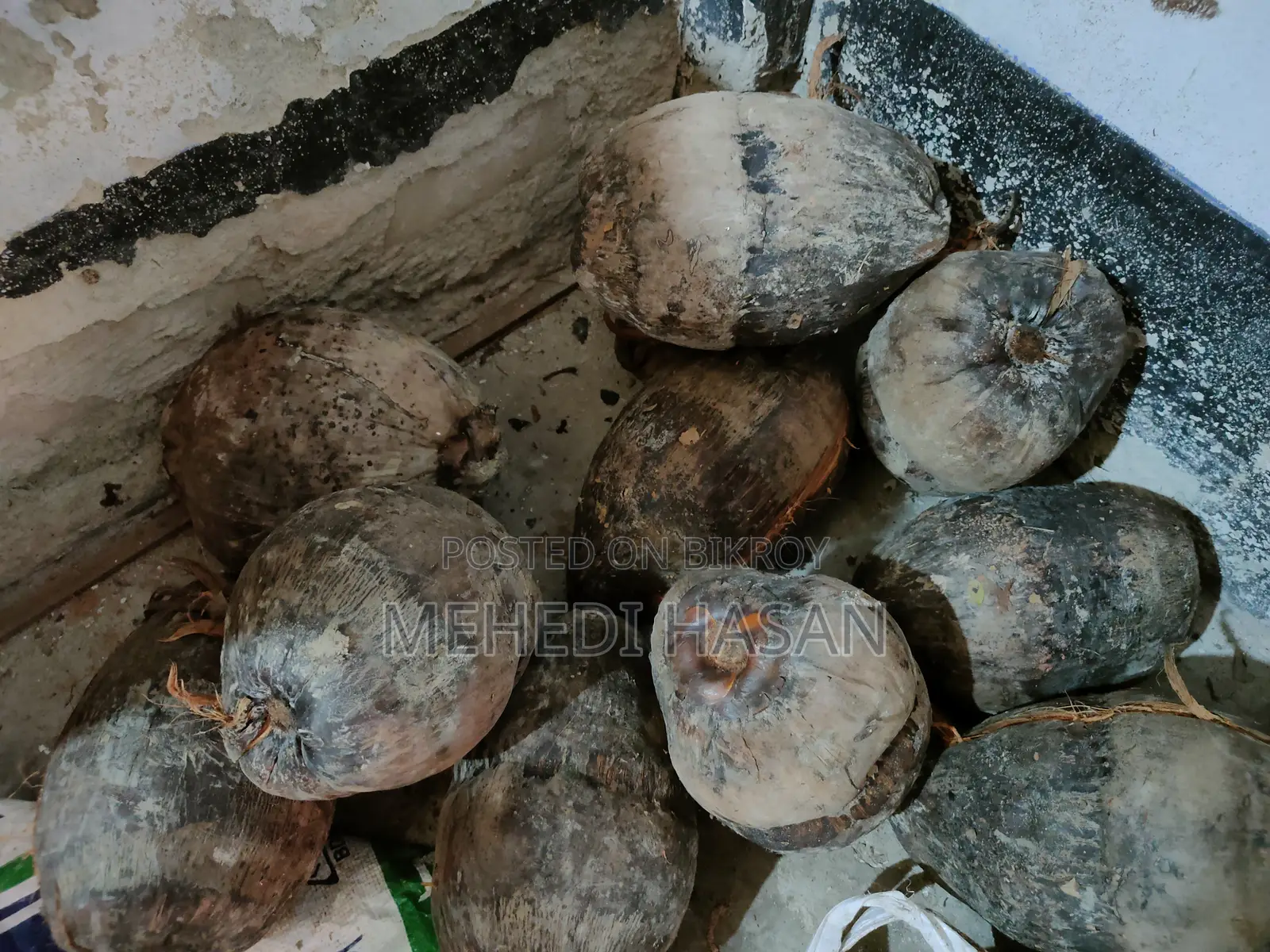 Coconut - নারিকেল