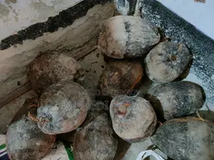 Coconut - নারিকেল